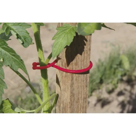 25 Clips pour tomates plastique souple