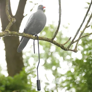 Contre-poids pour Appelant Pigeon en acier