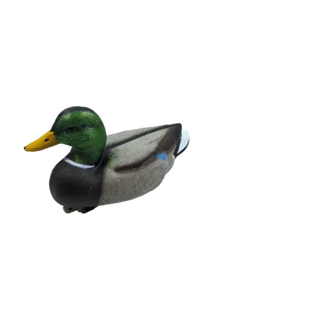 Appelant Colvert mâle HD 38 x 20cm