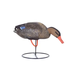 Appelant colvert femelle mangeur sur pied en acier