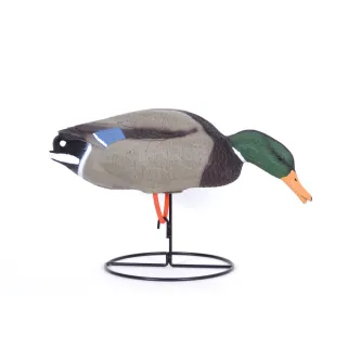 Appelant colvert mâle mangeur sur pied en acier