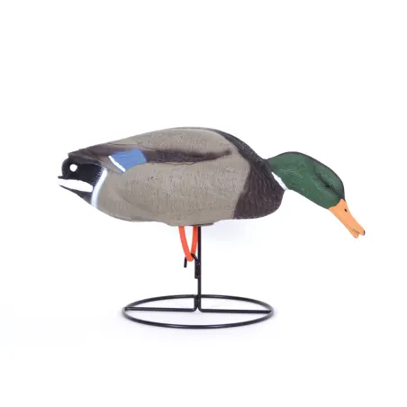 Appelant colvert mâle mangeur sur pied en acier