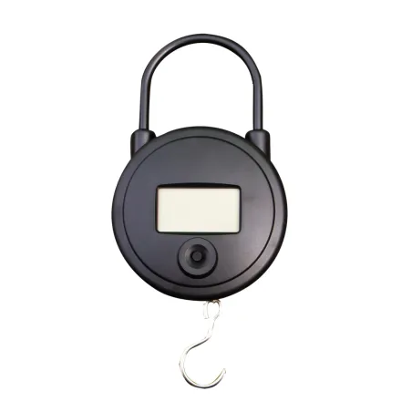 Peson électronique 25 KG