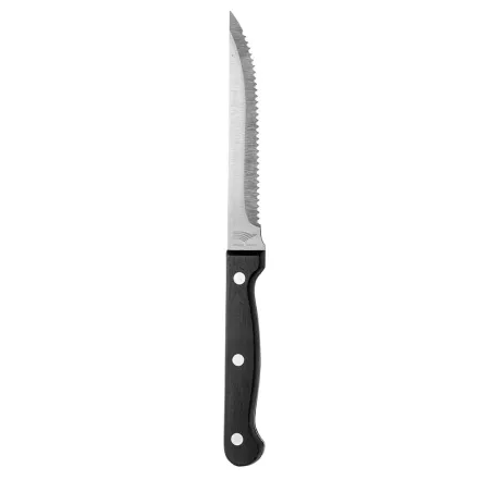 Lot 6 couteaux 22 cm à steak lame inox Pradel France