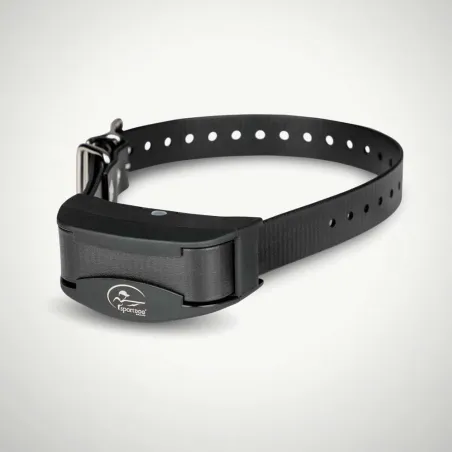 Collier Anti-Aboiement SportDOG - Rechargeable