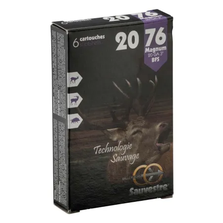 6 balles flèches SAUVESTRE 20/76 Magnum