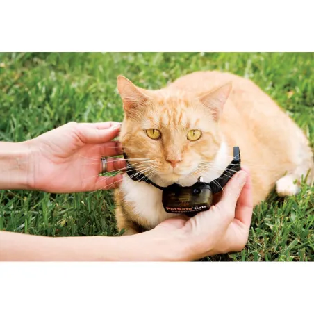 Clôture anti-fugue à fil PETSAFE Spécial Chat Clôture anti-fugue à fil PETSAFE Spécial Chat