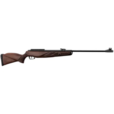 Carabine à plomb Gamo Grizzly 1250 36J