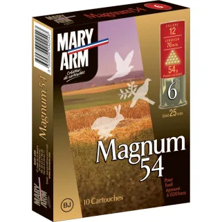 Boite de 10 cart MAGNUM 54g 12/76