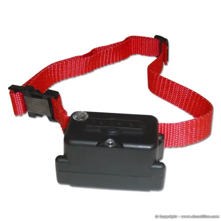 Collier pour système anti-fuge PetSafe Spécial chien têtu