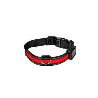Collier pour chien lumineux Eyenimal® USB rechargeable rouge