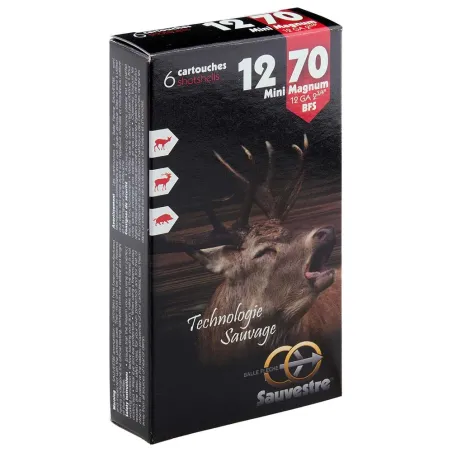 6 balles flèches SAUVESTRE 12/70 Mini mag