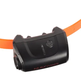 Collier supplémentaire Canicom Numaxes
