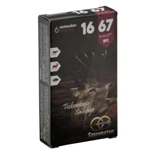 6 balles flèches SAUVESTRE 16/67
