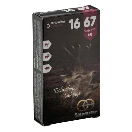 6 balles flèches SAUVESTRE 16/67