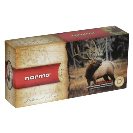 Boite de 20 Balles NORMA PPDC - 7RM - 170grs - 11g