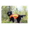 Gilet de signalisation CANIHUNT - Flash Gilet de signalisation CANIHUNT - Flash