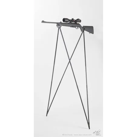 Canne de pirsh Bush Light