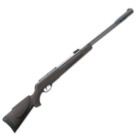 Carabine à plomb air comprimé Gamo "Big Cat CFS" à canon fixe 5.5mm
