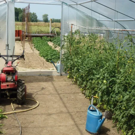 Serre de jardin avec aérations Largeur 5 m Serre de jardin avec aérations Largeur 5 m
