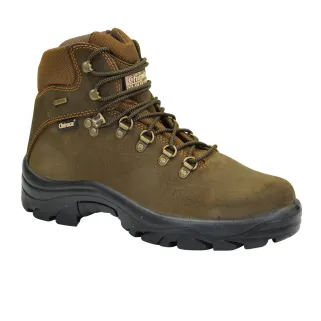 Chaussures Chiruca Pointer Gore-tex marron