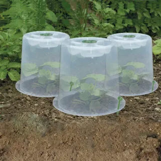 Cloches de forçage polypropylène translucide lot de 3 spécial salade