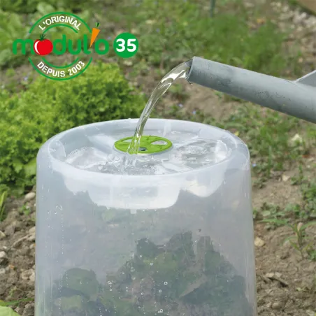 Cloches de forçage polypropylène translucide lot de 3 spécial salade Cloches de forçage polypropylène translucide lot de 3 spécial salade