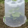 Cloches de forçage polypropylène translucide lot de 3 spécial salade Cloches de forçage polypropylène translucide lot de 3 spécial salade