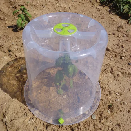 Cloches de forçage polypropylène translucide lot de 3 spécial salade Cloches de forçage polypropylène translucide lot de 3 spécial salade