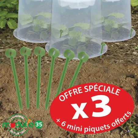 Cloches de forçage polypropylène translucide lot de 3 spécial salade Cloches de forçage polypropylène translucide lot de 3 spécial salade