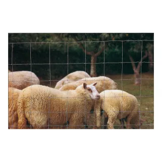 Grillage pour clôture galvanisé mouton et chèvre