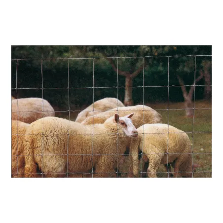 Grillage pour clôture galvanisé mouton et chèvre