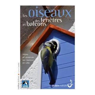 Oiseaux des Fenêtres et Balcons