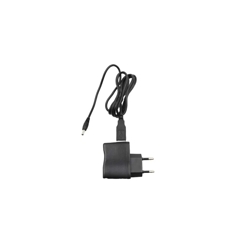 Chargeur simple fiche pour DT-300 - DT-1000 Chargeur simple fiche pour DT-300 - DT-1000