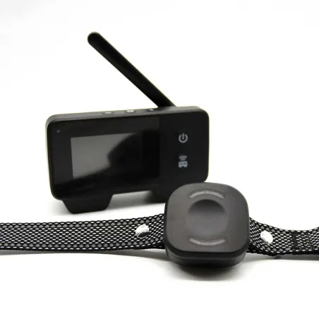 Collier anti-fugue DE 10 taille ajustable noir USB
