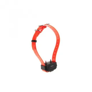 Collier supplémentaire "Canicom"