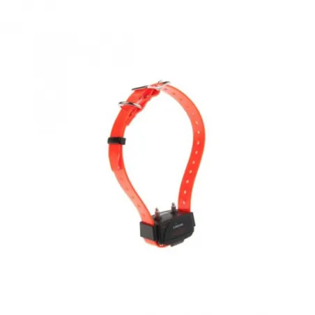 Collier supplémentaire "Canicom"