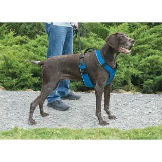 Harnais chien EasySport(TM)