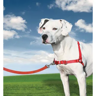 Harnais chien Easy Walk® rouge