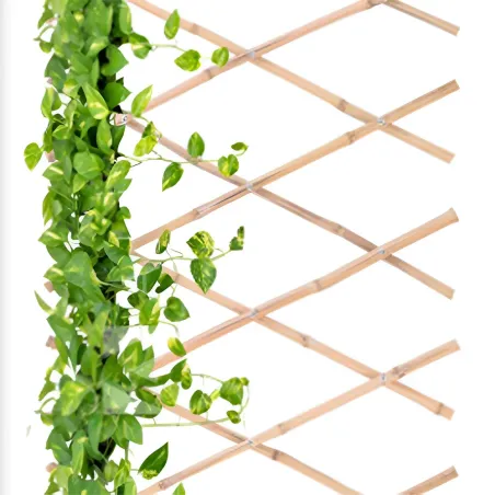 Treillis bambou 70 x 180 cm Treillis bambou 70 x 180 cm