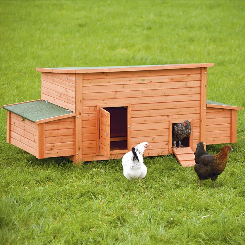 Poulailler Avilux jusqu'à 12 poules Poulailler Avilux jusqu'à 12 poules