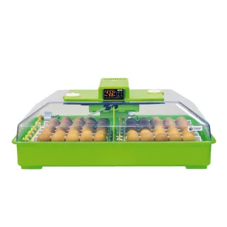 Couveuse automatique 60 oeufs Cimuka