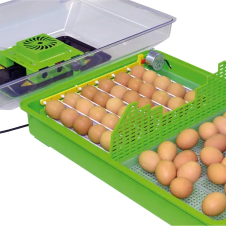 Couveuse automatique 60 oeufs Cimuka Couveuse automatique 60 oeufs Cimuka