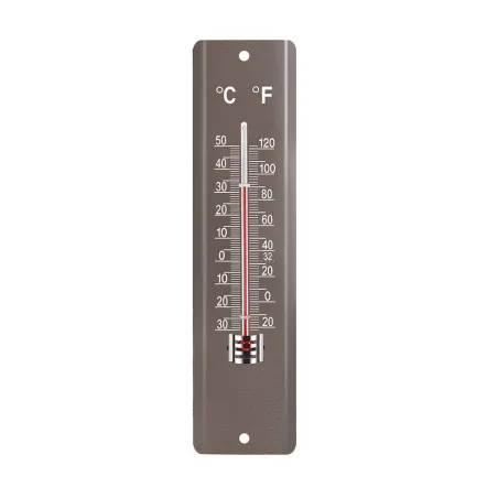 Thermomètre extérieur gris 20 x 5 cm