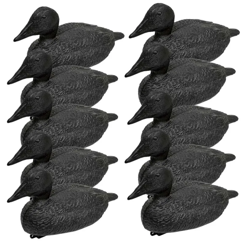Pack de 10 Eiders Noirs Appelants Flottants Réaliste