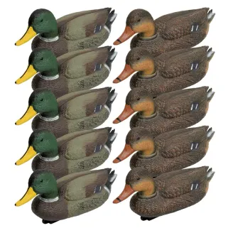 Pack 5 colverts mâles et 5 femelles