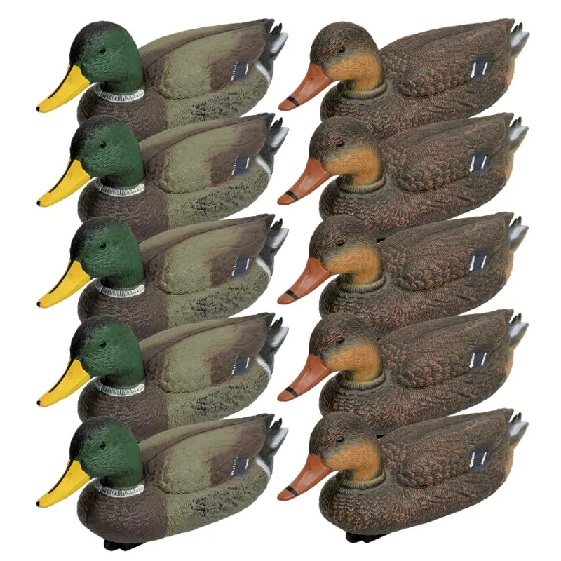 Pack 5 colverts mâles et 5 femelles Pack 5 colverts mâles et 5 femelles