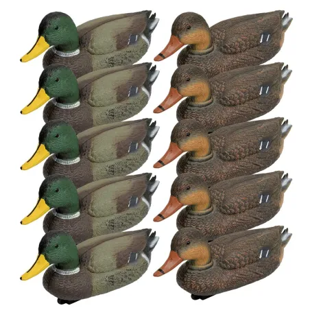 Pack 5 colverts mâles et 5 femelles