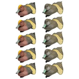 Pack 5 siffleurs mâles et 5 femelles moussés
