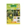 9 autocollants tue mouches/insectes jaune 17x24cm 9 autocollants tue mouches/insectes jaune 17x24cm